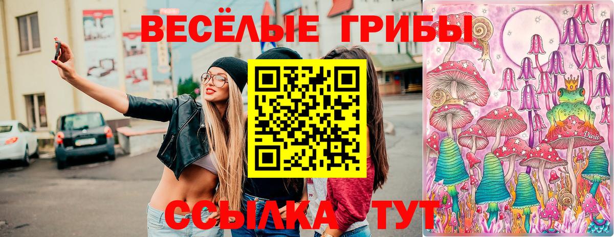 Псилоцибиновые грибы мухоморы Дагестанские Огни