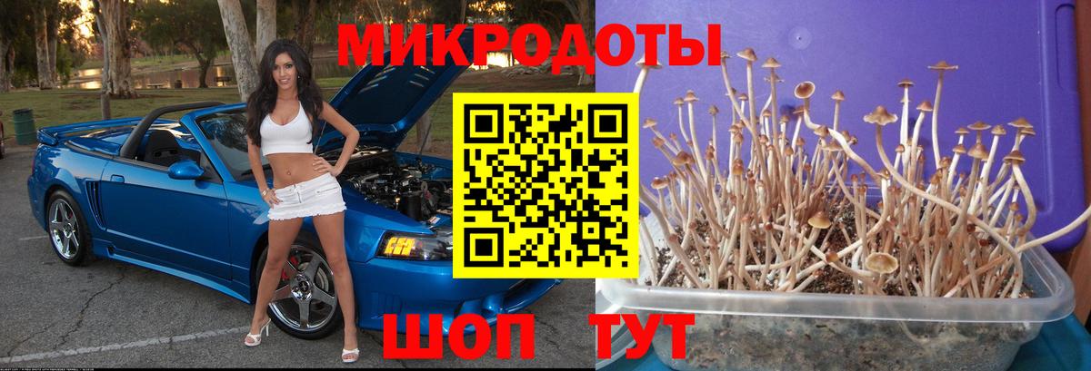 Дагестанские Огни  Галлюциногенные грибы MAGIC MUSHROOMS  Вход с VPN 